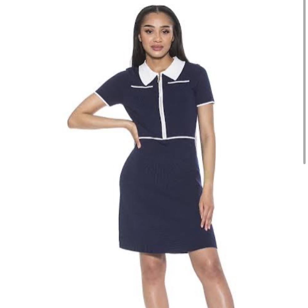 Alexia Admor Navy and Cream Knit Dress XS